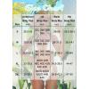 image2 Piece Bikini Sets for Women Tummy Control Swimsuits Bikini Tops Full Coverage Bottoms Bathing Suit02 White