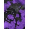 imageAvanova Women Skull Finger Graphic Distressed Tee Shirt Ripped Short Sleeve Crop TopsBlack Purple Tiger